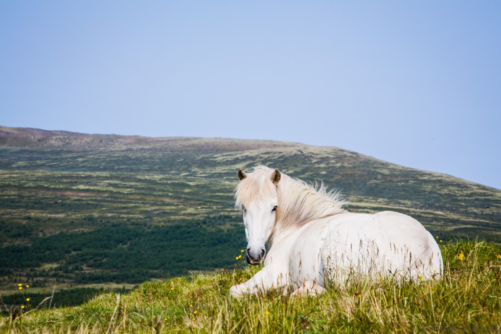 Posing against the mountains